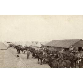 Photo from page 17 of album WWI Photograph Album- Sinai & Palestine