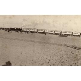 Photo from page 22 of album WWI Photograph Album- Sinai & Palestine
