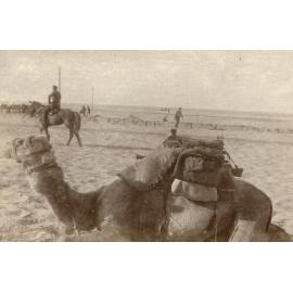 Photo from page 25 of album WWI Photograph Album- Sinai & Palestine