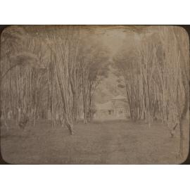 Photo from page 04 of album WWI Photograph Album