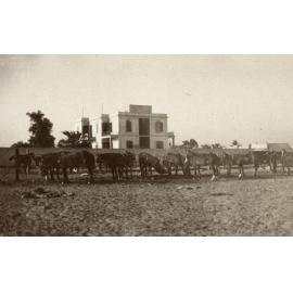 Photo from page 07 of album Photograph Album- France, Belgium and England