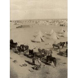 Photo from page 07 of album Photograph Album- France, Belgium and England