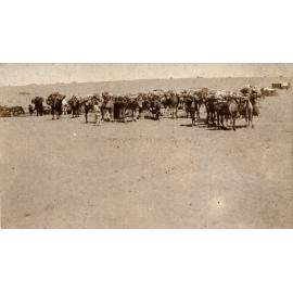 Photo from page 09 of album WWI Photograph Album - Egypt, Sinai and Palestine
