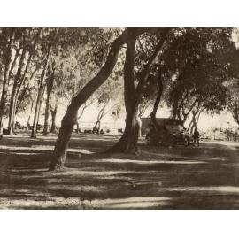 Photo from page 20 of album Photograph Album- France, Belgium and England