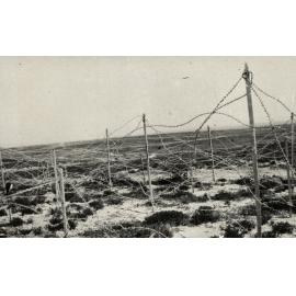 Photo from page 10 of album WWI Photograph Album 