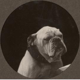 Photo from page 04 of album WWI Photograph Album