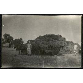 WWI Photograph Album- France, Belgium and England [loose photo]