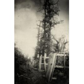 Photo from page 03 of album WWI Photograph Album- France & Belgium