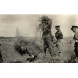 Photo from page 06 of album WWI Photograph Album- France & Belgium