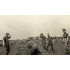 Photo from page 06 of album WWI Photograph Album- France & Belgium