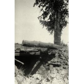 Photo from page 09 of album WWI Photograph Album- France & Belgium