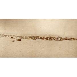 Photo from page 12 of album WWI Photograph Album - Egypt, Sinai and Palestine