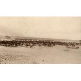 Photo from page 12 of album WWI Photograph Album - Egypt, Sinai and Palestine