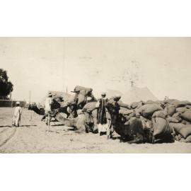 Photo from page 06 of album WWI Photograph Album- Egypt & Gallipoli