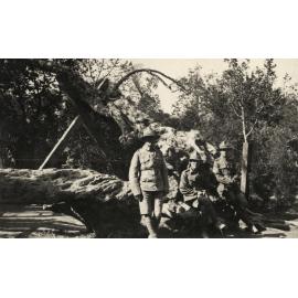 Photo from page 08 of album WWI Photograph Album- Egypt & Gallipoli