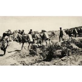 Photo from page 13 of album WWI Photograph Album- Egypt & Gallipoli