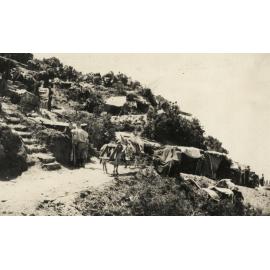 Photo from page 13 of album WWI Photograph Album- Egypt & Gallipoli