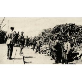 Photo from page 13 of album WWI Photograph Album- Egypt & Gallipoli