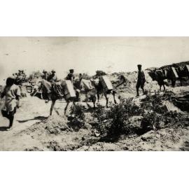 Photo from page 05 of album WWI Photograph Album- Egypt & Gallipoli