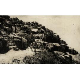 Photo from page 05 of album WWI Photograph Album- Egypt & Gallipoli