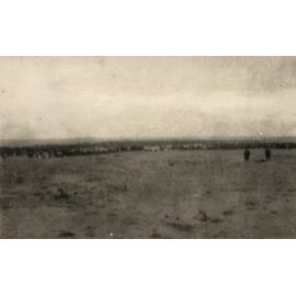 Photo from page 11 of album WWI Photograph Album- Egypt & Gallipoli