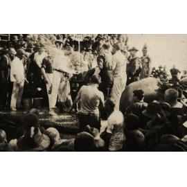 Photo from page 07 of album WWI Photograph Album  - Egypt & Western Front