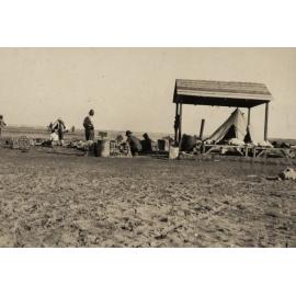 Photo from page 13 of album WWI Photograph Album  - Egypt & Western Front