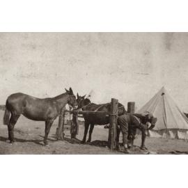 Photo from page 14 of album WWI Photograph Album  - Egypt & Western Front