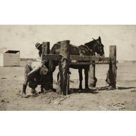 Photo from page 14 of album WWI Photograph Album  - Egypt & Western Front