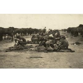 Photo from page 15 of album WWI Photograph Album  - Egypt & Western Front