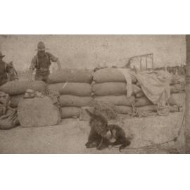 Photo from page 15 of album WWI Photograph Album  - Egypt & Western Front