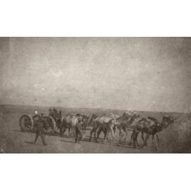 Photo from page 16 of album WWI Photograph Album  - Egypt & Western Front