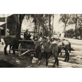 Photo from page 20 of album WWI Photograph Album  - Egypt & Western Front