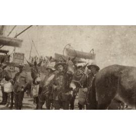 Photo from page 24 of album WWI Photograph Album  - Egypt & Western Front