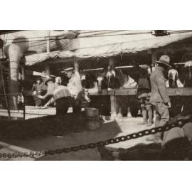 Photo from page 24 of album WWI Photograph Album  - Egypt & Western Front