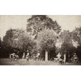 Photo from page 25 of album WWI Photograph Album  - Egypt & Western Front