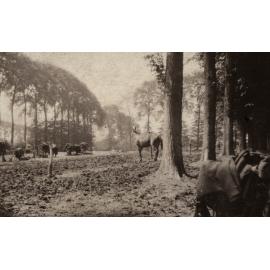 Photo from page 25 of album WWI Photograph Album  - Egypt & Western Front