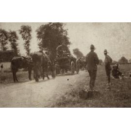 Photo from page 26 of album WWI Photograph Album  - Egypt & Western Front