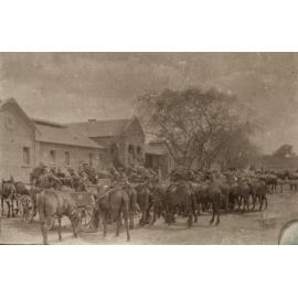 Photo from page 26 of album WWI Photograph Album  - Egypt & Western Front