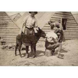 Photo from page 27 of album WWI Photograph Album  - Egypt & Western Front