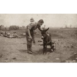 Photo from page 27 of album WWI Photograph Album  - Egypt & Western Front