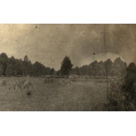 Photo from page 29 of album WWI Photograph Album  - Egypt & Western Front