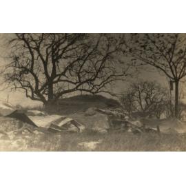 Photo from page 33 of album WWI Photograph Album  - Egypt & Western Front