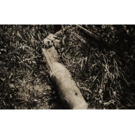 Photo from page 37 of album WWI Photograph Album  - Egypt & Western Front