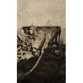 Photo from page 37 of album WWI Photograph Album  - Egypt & Western Front