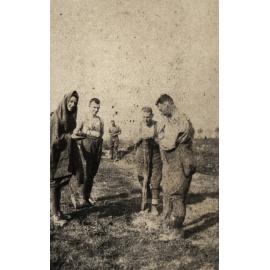 Photo from page 38 of album WWI Photograph Album  - Egypt & Western Front