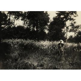 Photo from page 04 of album WWI Photograph Album  - France
