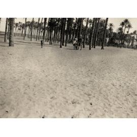 Photo from page 07 of album WWI Photograph Album  - England